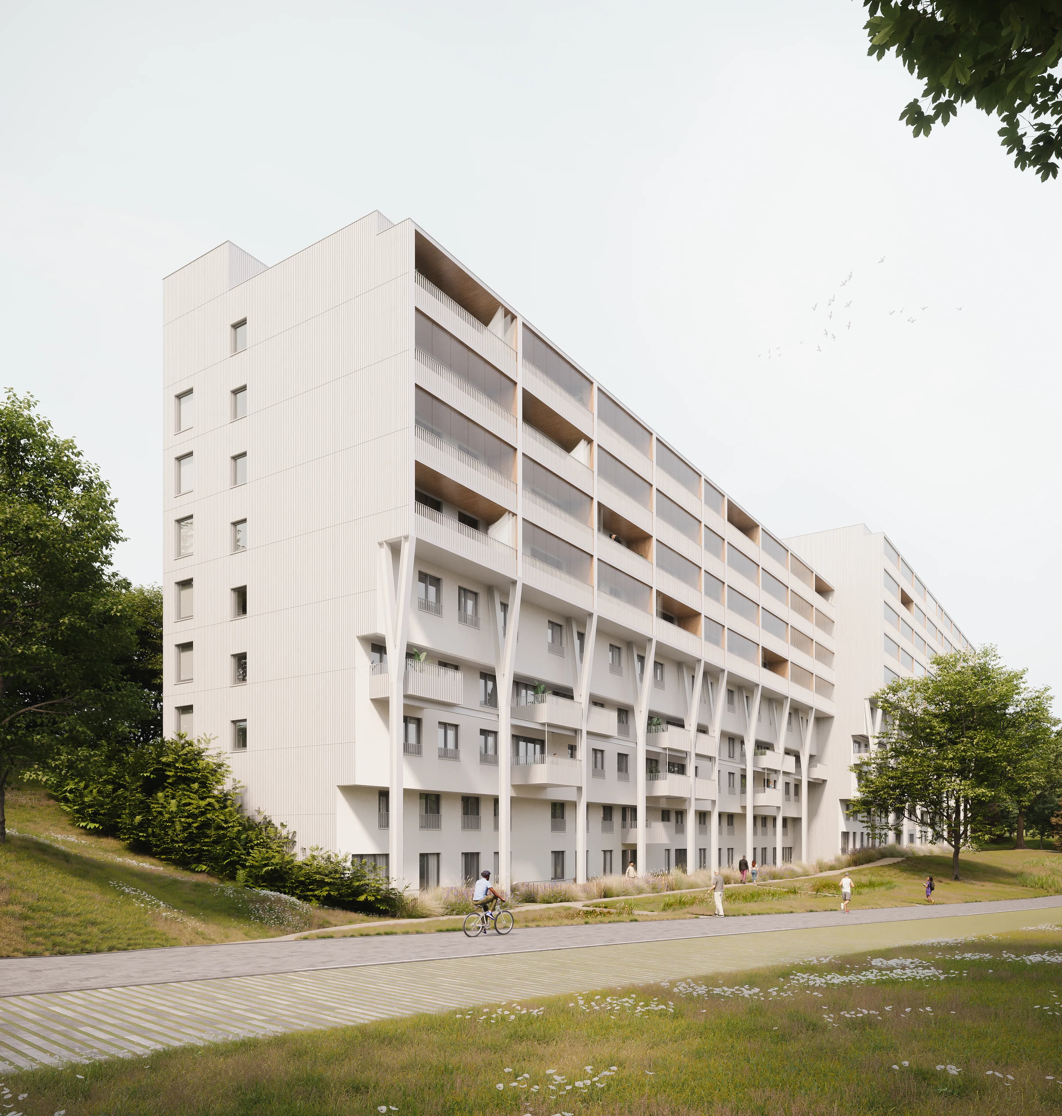 Peterbos_17_18
