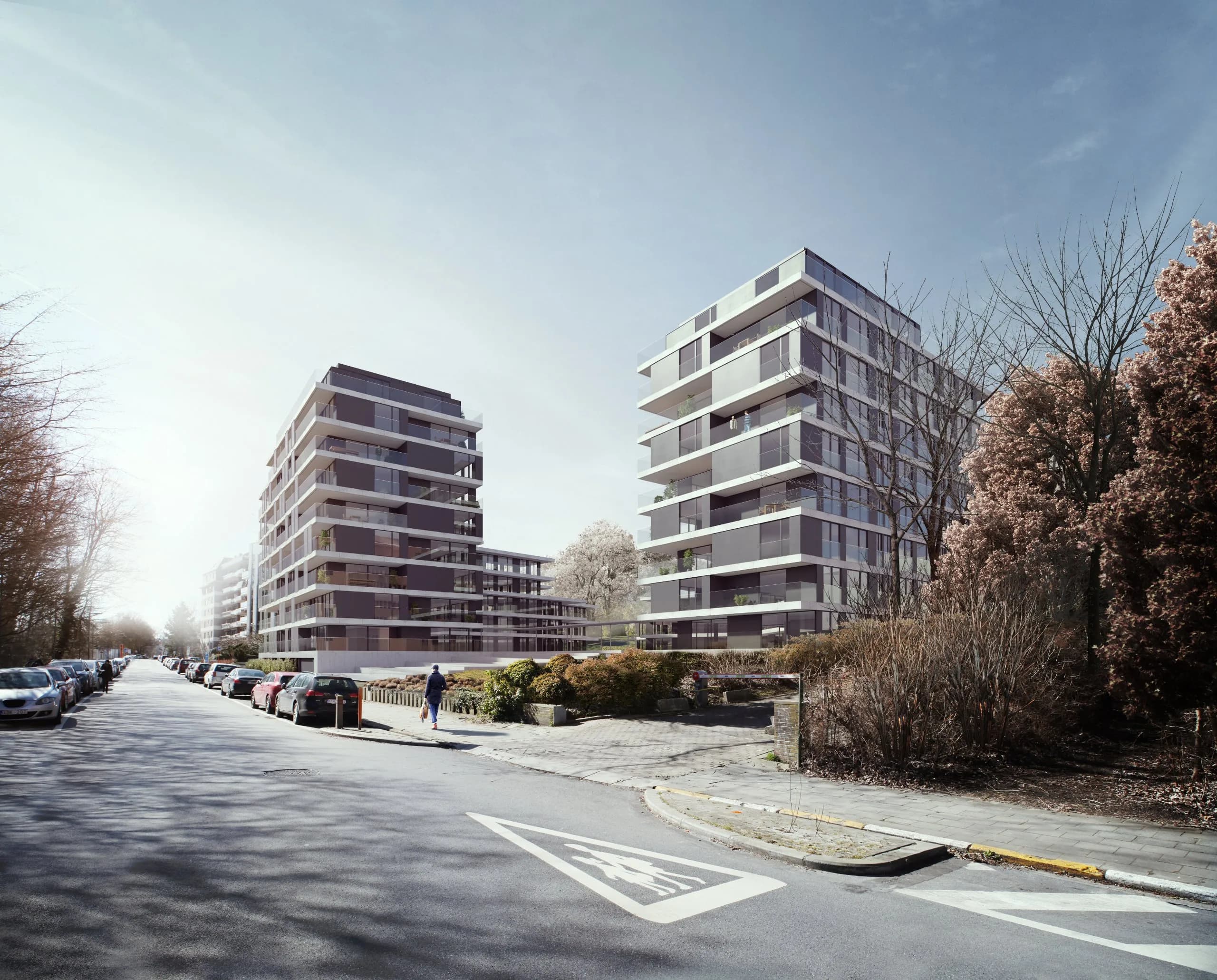 Neerveld